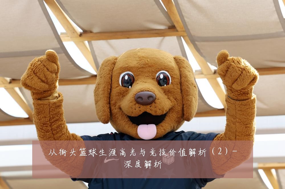 从街头篮球生涯高光与竞技价值解析（2）-深度解析